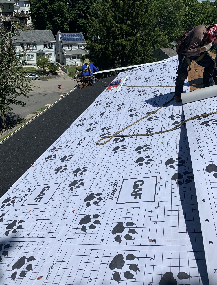 D3477C47-31EF-4026-AA13-2EB89213ED84