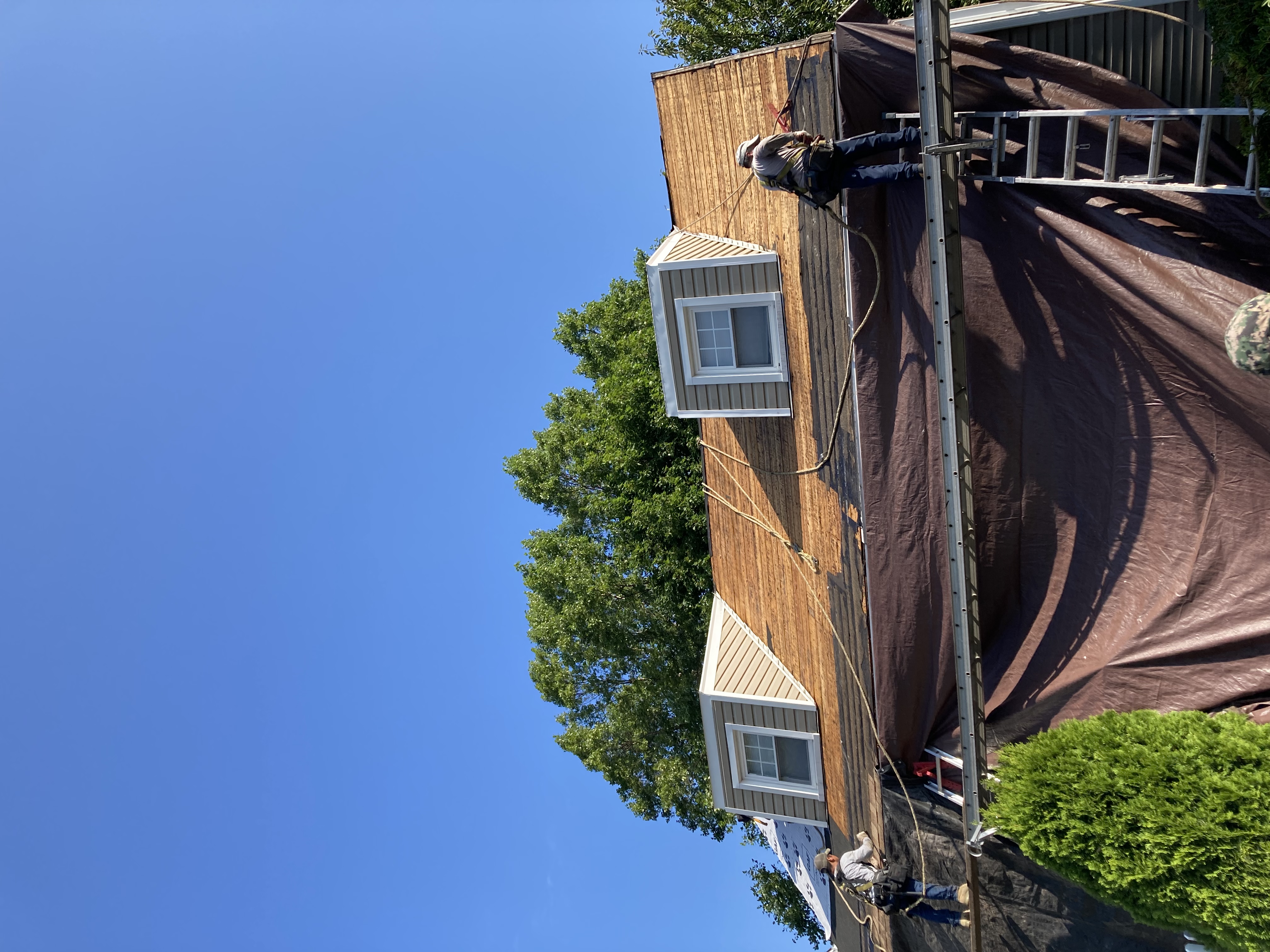 EE8AC0A4-ED31-40AA-B833-1774E78636DA